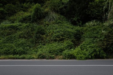 Banliyödeki şehir parkı