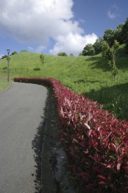 Baharda şehir parkı