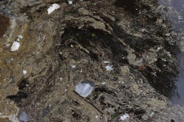 Çek Cumhuriyeti Prag şehrinde heykel