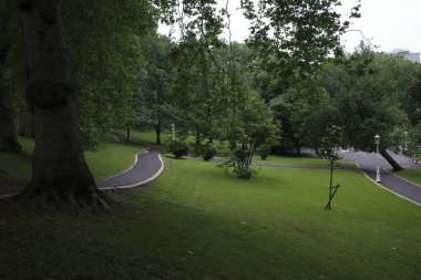 Bir şehir parkında bitki örtüsü