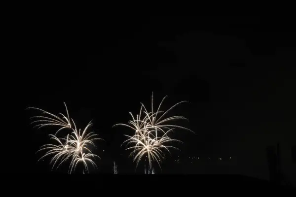 stock image Fireworks exhibition at night