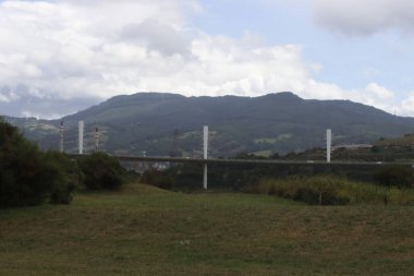 Kırsal bölgedeki vahşi bitki örtüsü