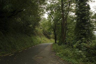 Bilbao 'nun banliyölerindeki şehir parkı