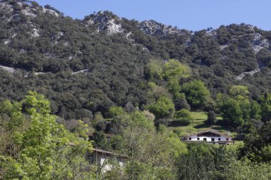 Bask Ülkesi 'nin iç kesimlerinde manzara