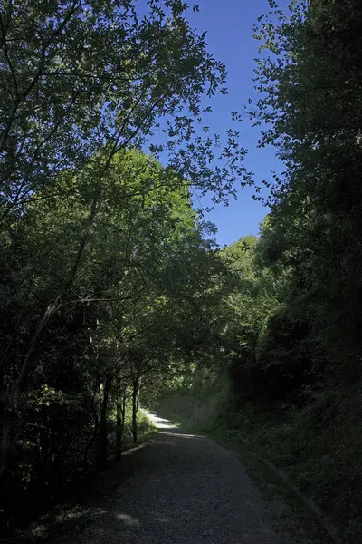 Şehirdeki şehir parkı