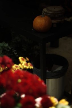 Çiçekçide bir balkabağı