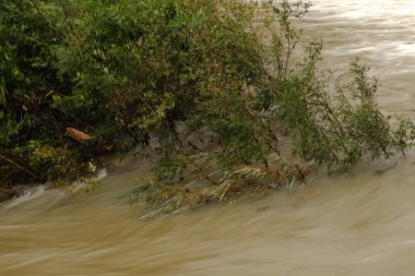 Nehir Bilbao parkından akıyor.