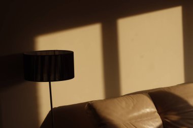 Bir odada lamba ve kanepe.