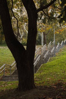 Şehir parkında sonbahar