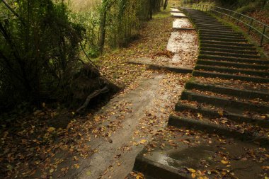 Parkta sonbahar renkleri