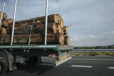 Karayolundaki kamyon