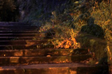 Şehrin merdivenleri.