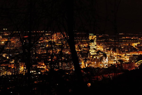 Night view of the city of Bilbao