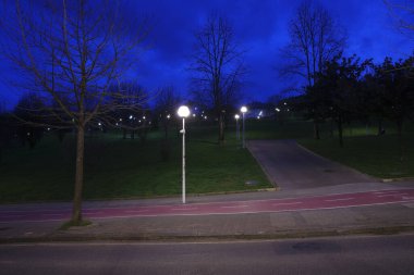 Şehir parkında kış gecesi