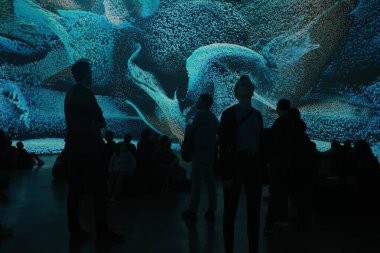 Sanat müzesini ziyaret et.