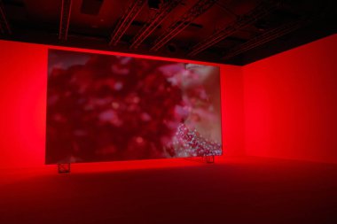 Sanat müzesini ziyaret et.