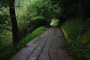 Bir bahar gününde okyanus manzarası