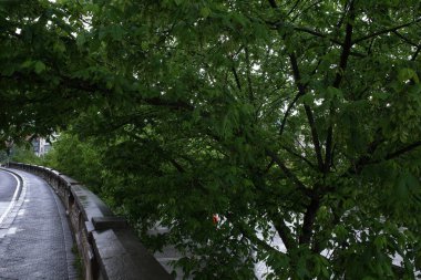 Bir bahar gününde okyanus manzarası