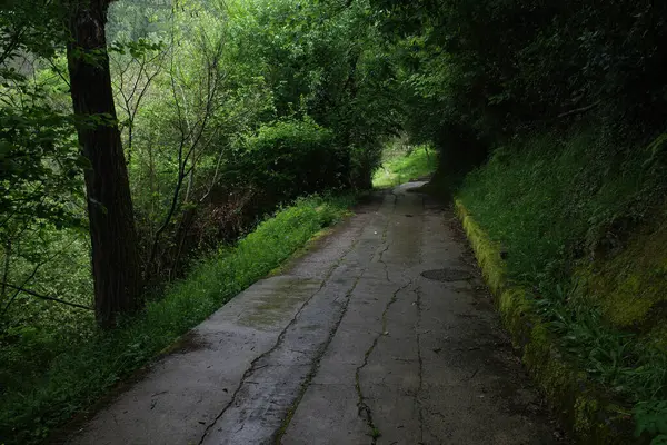 Bir bahar gününde okyanus manzarası