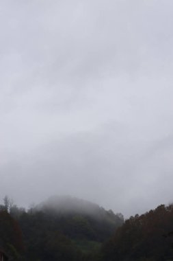 Dağlarda sisli bir sabah