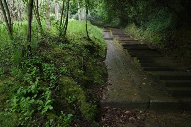 Bir bahar gününde okyanus manzarası