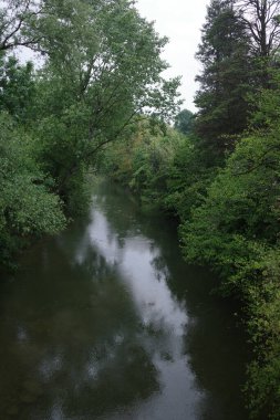 yağmurlu bir gün ormanda
