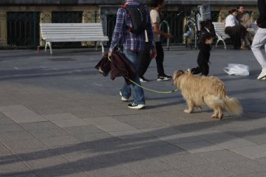 İnsanlar San Sebastian, İspanya 'da hafta sonunun tadını çıkarıyor.