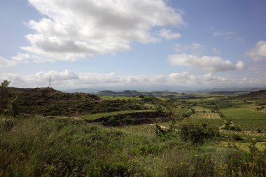 Bask ülkesinin kırsalındaki üzüm bağları