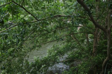 Bilbao şehrindeki nehir