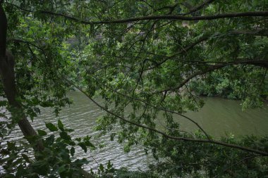 Bilbao şehrindeki nehir