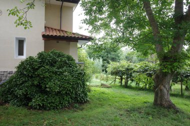 Bask ülkesinin kırsal kesiminde bir ev.