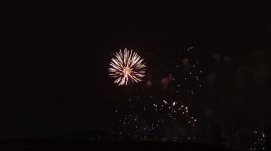 Fireworks in a night sky