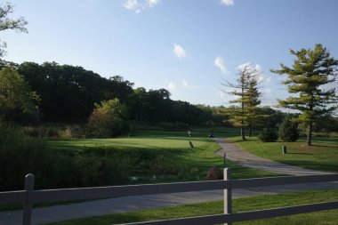 Bir şehir parkında bitki örtüsü