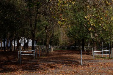 Kentsel bir ortama park et