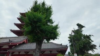 TOKYO, JAPONYAN 20 Mayıs 2025: Asakusa 'daki Sensoji Tapınağı' nda yürüyen ziyaretçiler, Tokyos 'un en eski Budist tapınağı ve büyük bir kültürel dönüm noktası.