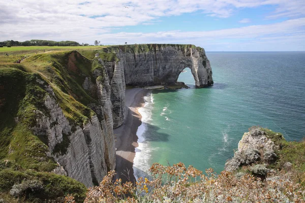 Aiguille Etretat cliff deniz tarafında ve onun güzel kireçtaşı kayalıklarla