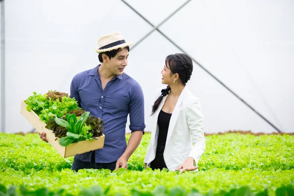 young asian couple agriculture smart farmer working picking vegetables working in organic greenhouse farm. Hydroponics farming.