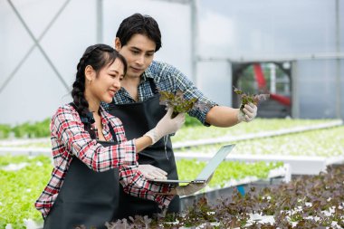 Farmer man and woman using laptop examing quality at vegetable hydroponic at greenhouse. Concept of vegetables health food. Smart farm using technology growing business hydro produce.