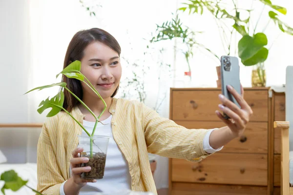 Plastik şişelerden yapılmış saksılarda küçük ağaçlar tutan Asyalı bir kadın. Evde satılık akıllı telefonlu geri dönüşümlü selfie fotoğrafı. Girişimcilik ağacı satışı küçük işletmeler çevrimiçi. Sahibi iş kadını.