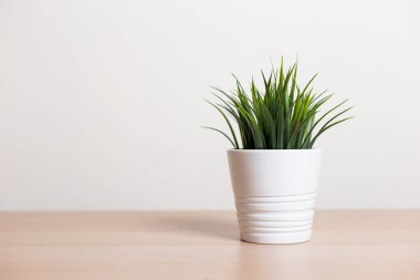 yeşil yaprak bitkisi beyaz tencerede ahşap masada.