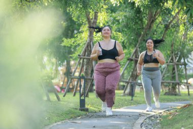 Neşeli iki fazla kilolu kadın spor giyimde bahçede egzersiz yaparken eğleniyor. Asyalı kızlar ve beden ölçüleri spor üniformaları giyiyorlar. Yeşil parkta egzersiz yapıyorlar. Sağlıklı bir kavram..