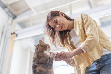 Kediyi besle aşk kedisi, evcil hayvan yaşam tarzı, insanlar, insanların ve evcil hayvanların bir arada yaşaması.