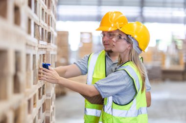 Marangoz güvenlik üniforması ve sarı şapka takan işçiler, atölyedeki ahşap ürünlerin kalitesini kontrol etmek için pano tutuyor. Erkek ve kadın işçi ahşap depolama endüstrisi.