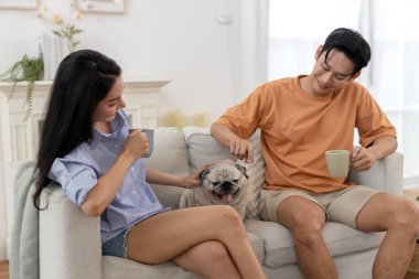 Köpeğe odaklan, mutlu Asyalı çift sabah kahvesini iç koltukta rahatlarken gülümse ve neşeli köpekleriyle oyna. Evde rahat bir atmosfer yaratmak.