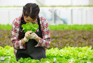 Genç kadın çiftçi serada taze hidroponik marul koklarken. Organik tarım, temiz gıda, sürdürülebilir tarım ve sağlıklı hasattan elde edilen mutluluk kavramı. Sevgiyle üretmek.