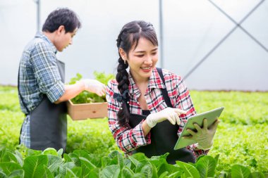 Asyalı erkek ve kadınlar akıllı çiftçiler sürdürülebilir çiftçilikte sera, modern tarım ve teknolojide organik sebze ürünlerini dijital tablet monitörü kullanır ve yönetir. Arkadaş canlısı tarım uygulamaları.