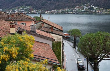 Mimoza ağacı, göl kenarındaki kiremitli çatının üzerinde.