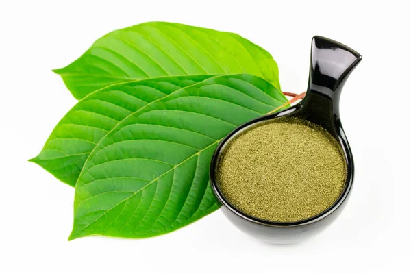 Mitragyna Speciosa Korth veya siyah kasede beyaz arkaplanda yeşil yapraklı kratom tozu. 