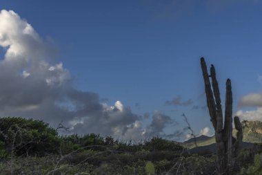 Bulutlu gökyüzü ile Curacao adasının muhteşem manzarası