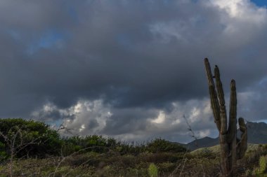 Bulutlu gökyüzü ile Curacao adasının muhteşem manzarası